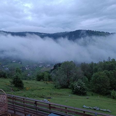Les Chalets Bambi & Jacuzzi Privatif La Bresse Kültér fotó