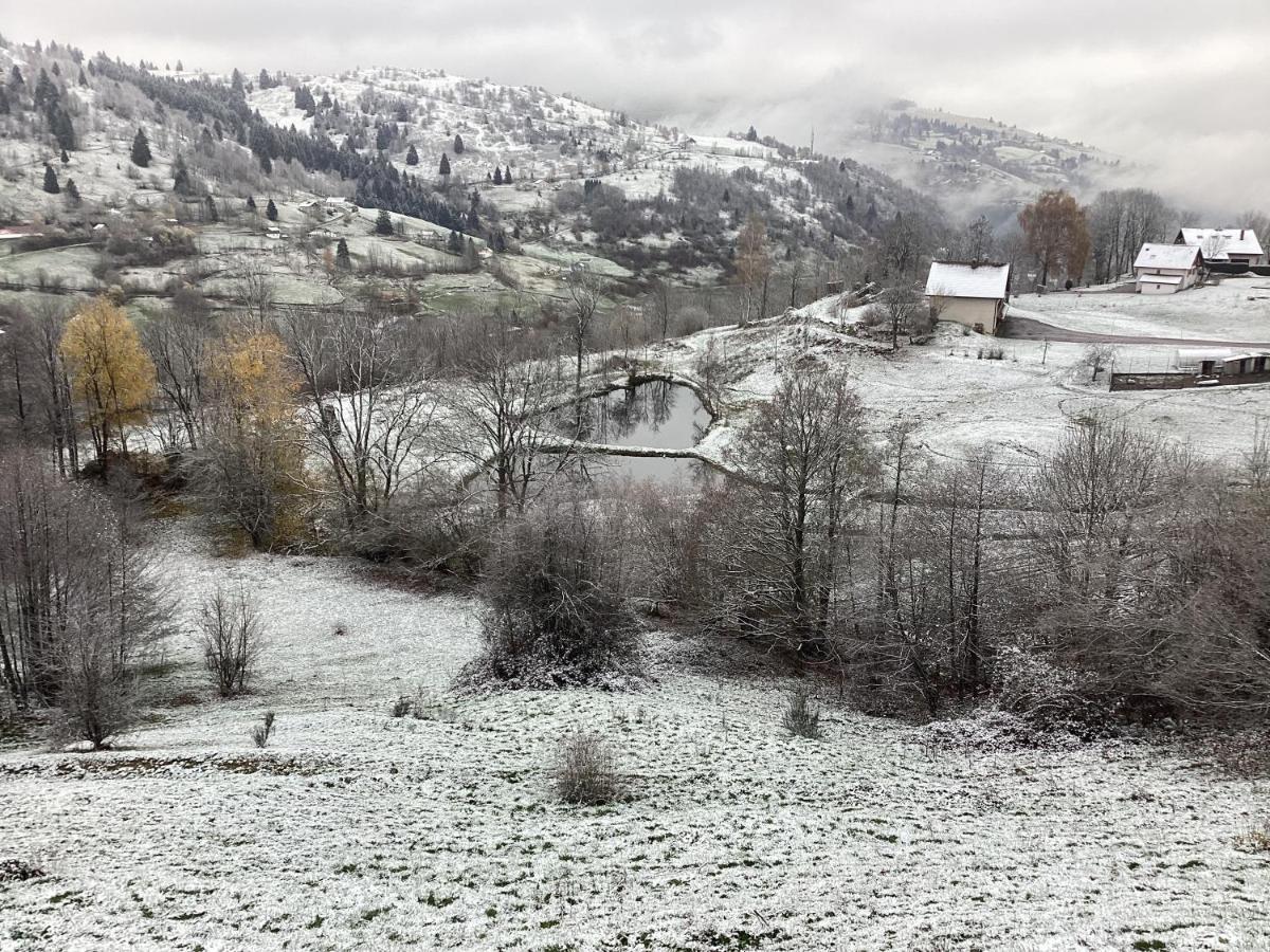 Les Chalets Bambi & Jacuzzi Privatif La Bresse Kültér fotó