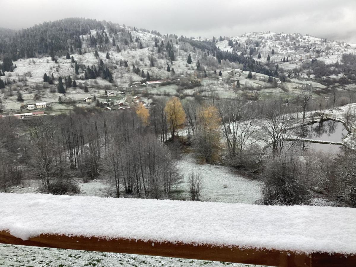 Les Chalets Bambi & Jacuzzi Privatif La Bresse Kültér fotó