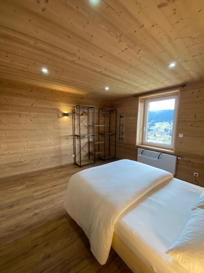 Les Chalets Bambi & Jacuzzi Privatif La Bresse Kültér fotó
